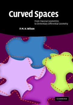 Curved Spaces (eBook, PDF) - Wilson, P. M. H.