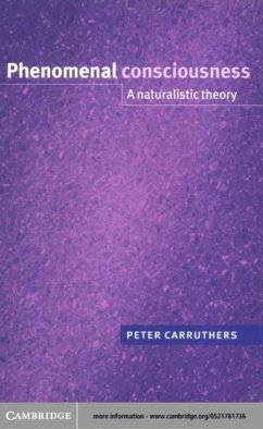 Phenomenal Consciousness (eBook, PDF) - Carruthers, Peter