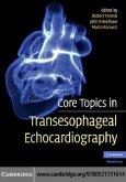 Core Topics in Transesophageal Echocardiography (eBook, PDF)