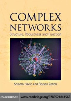 Complex Networks (eBook, PDF) - Cohen, Reuven