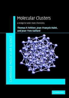 Molecular Clusters (eBook, PDF) - Fehlner, Thomas