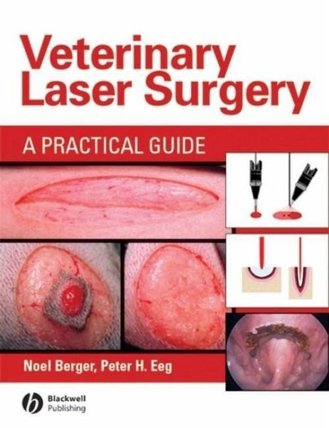 Veterinary Laser Surgery (eBook, PDF)