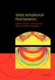 Stellar Astrophysical Fluid Dynamics (eBook, PDF)