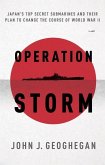 Operation Storm (eBook, ePUB)
