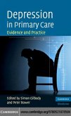 Depression in Primary Care (eBook, PDF)