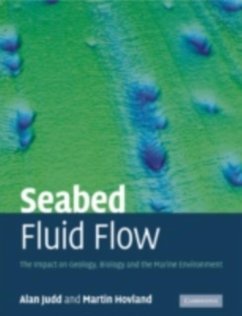 Cover Seabed Fluid Flow (eBook, PDF)