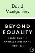 Beyond Equality (eBook, ePUB) - Bild 1
