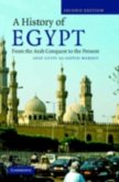 History of Egypt (eBook, PDF)