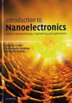 Introduction to Nanoelectronics (eBook, PDF) - Mitin, Vladimir V.