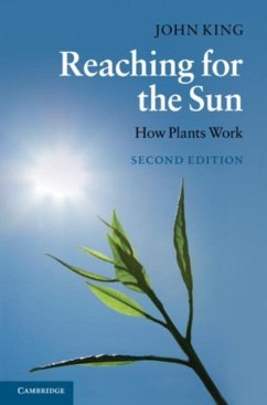 Reaching for the Sun (eBook, PDF) - King, John
