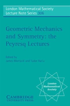 Cover Geometric Mechanics and Symmetry (eBook, PDF)