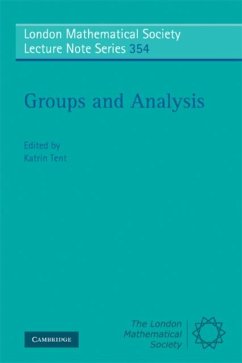 Cover Groups and Analysis (eBook, PDF)