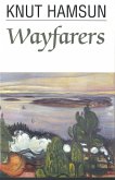 Wayfarers (eBook, ePUB)