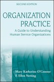 Organization Practice (eBook, ePUB)