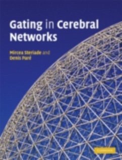 Cover Gating in Cerebral Networks (eBook, PDF)