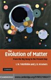 Evolution of Matter (eBook, PDF)