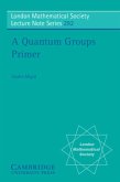 Quantum Groups Primer (eBook, PDF)