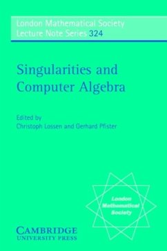 Cover Singularities and Computer Algebra (eBook, PDF)