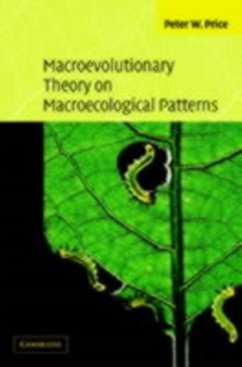 Cover Macroevolutionary Theory on Macroecological Patterns (eBook, PDF)