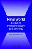 Mind World (eBook, PDF)