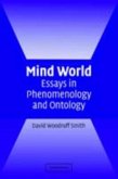 Mind World (eBook, PDF) Mind World (eBook, PDF)