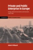 Private and Public Enterprise in Europe (eBook, PDF)