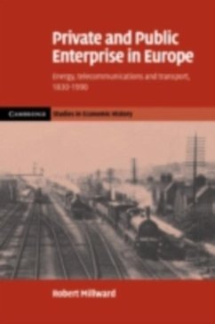Private and Public Enterprise in Europe (eBook, PDF) - Millward, Robert