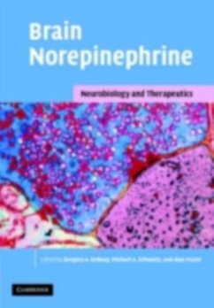 Brain Norepinephrine (eBook, PDF)