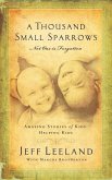 A Thousand Small Sparrows (eBook, ePUB)