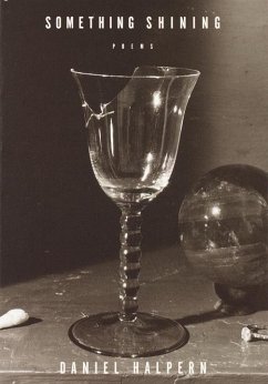 Cover Something Shining (eBook, ePUB)