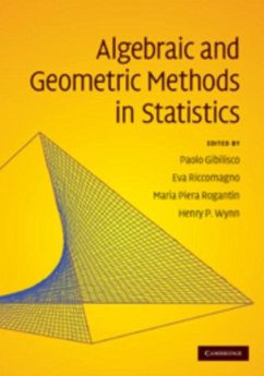Algebraic and Geometric Methods in Statistics (eBook, PDF)