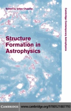Structure Formation in Astrophysics (eBook, PDF)