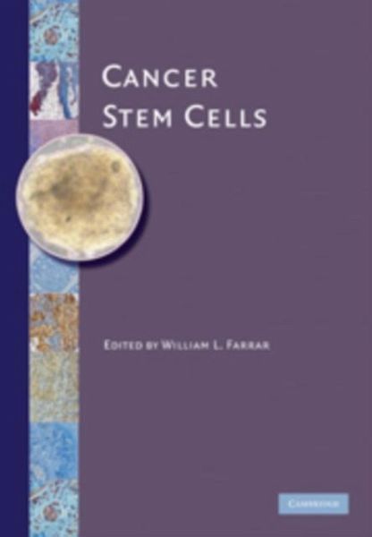 Cancer Stem Cells (eBook, PDF)