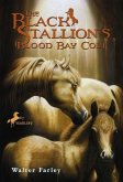 The Black Stallion's Blood Bay Colt (eBook, ePUB) The Black Stallion's Blood Bay Colt (eBook, ePUB)