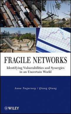 Cover Fragile Networks (eBook, PDF)