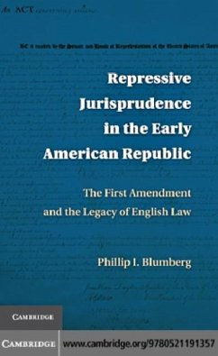 Repressive Jurisprudence in the Early American Republic (eBook, PDF) - Blumberg, Phillip I.