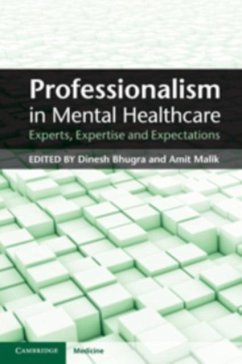Professionalism in Mental Healthcare (eBook, PDF)