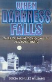 When Darkness Falls (eBook, ePUB)