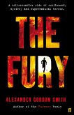 The Fury (eBook, ePUB)