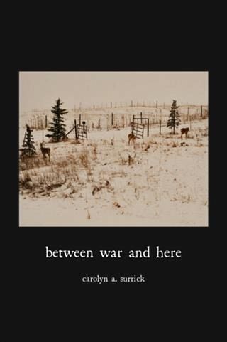 Between War and Here (eBook, ePUB)