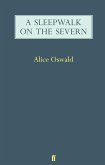 A Sleepwalk on the Severn (eBook, ePUB)