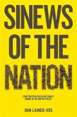 Sinews of the Nation (eBook, PDF)