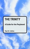 The Trinity: A Guide for the Perplexed (eBook, PDF) The Trinity: A Guide for the Perplexed (eBook, PDF)