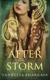 After the Storm (eBook, ePUB)