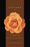 Anatomy Of A Rose (eBook, ePUB) Anatomy Of A Rose (eBook, ePUB)