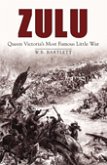 Zulu (eBook, ePUB)