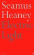 Electric Light (eBook, ePUB) - Bild 1