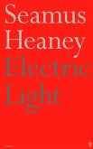 Electric Light (eBook, ePUB)