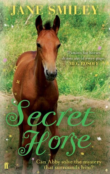 Secret Horse (eBook, ePUB)