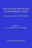 Wales and the Welsh in the Middle Ages (eBook, PDF)